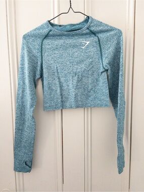 Gymshark Teal Blue Seamless Long-Sleeve Crop Top